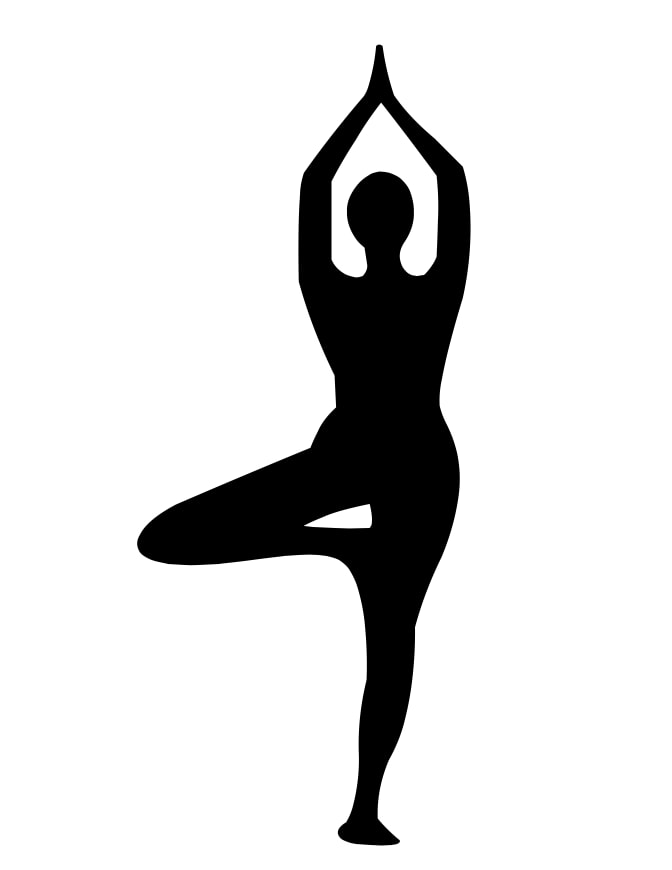 Hatha Yoga Sanchinarro Madrid